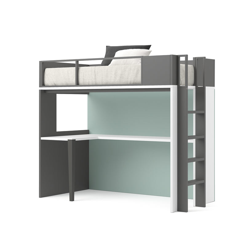 REF: MONTES-75