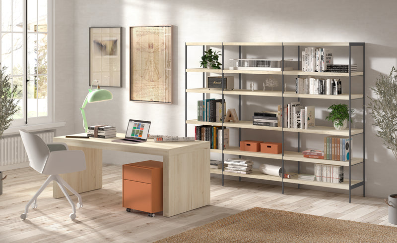 REF: Lib-12