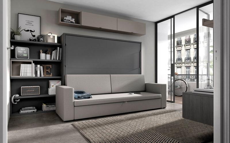 REF: Camab-11