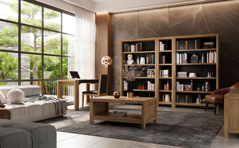REF: Lib-4